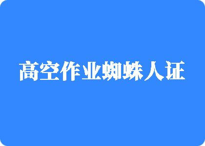 小骚逼被大鸡吧操视频高空作业蜘蛛人证